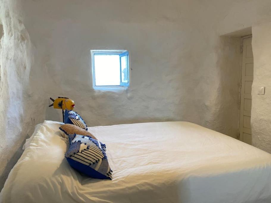 Villa Ocean View Pedro Barba المظهر الخارجي الصورة