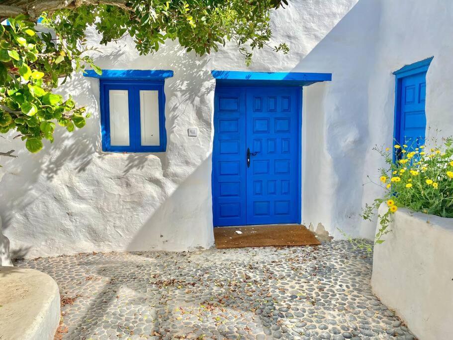 Villa Ocean View Pedro Barba المظهر الخارجي الصورة